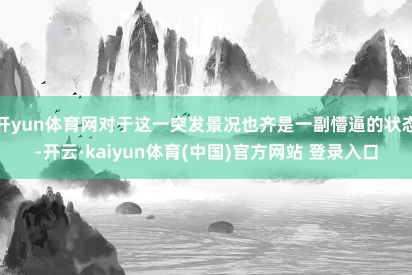 开yun体育网对于这一突发景况也齐是一副懵逼的状态-开云·kaiyun体育(中国)官方网站 登录入口